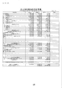 平成２９年度事業計算書類のサムネイル